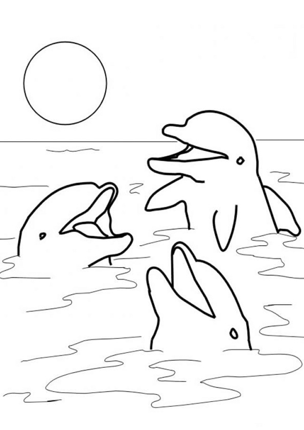 Coloring pages dolphin playing in water coloring pages