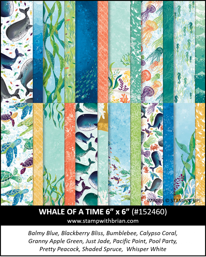 More color binations with whale of a time â x â designer series paper â stamp with brian