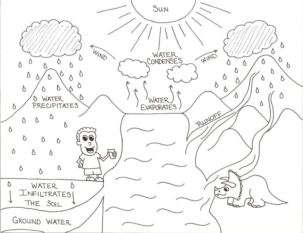 Exclusive picture of water cycle coloring page