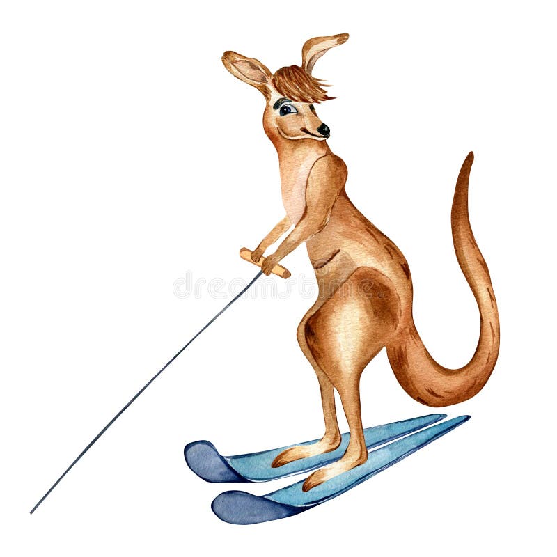 Water skiing cartoon animal stock illustrations â water skiing cartoon animal stock illustrations vectors clipart