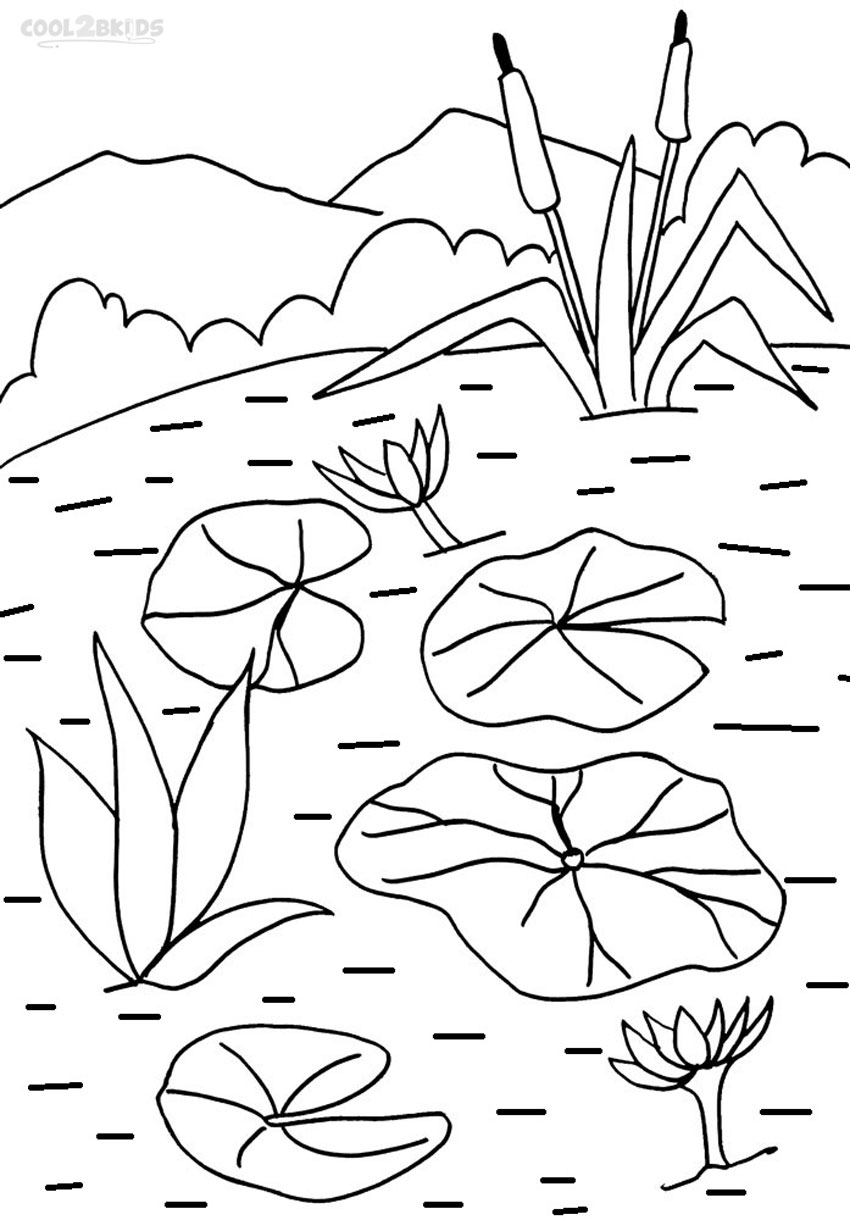 Coloring pages coloring pages of lily pad