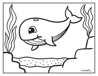 Whale coloring pages