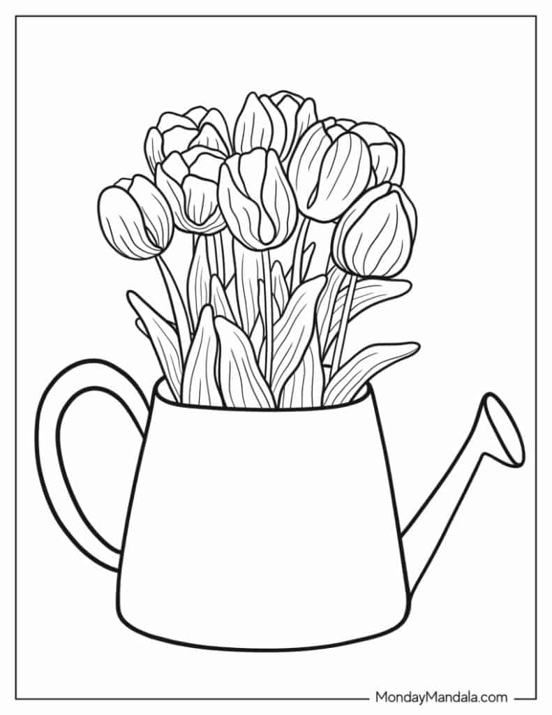 Tulip coloring pages free pdf printables