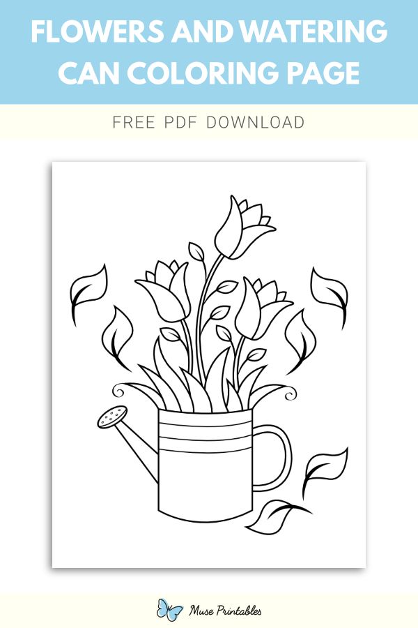 Free flowers and watering can coloring page coloring pages flower printable watering can