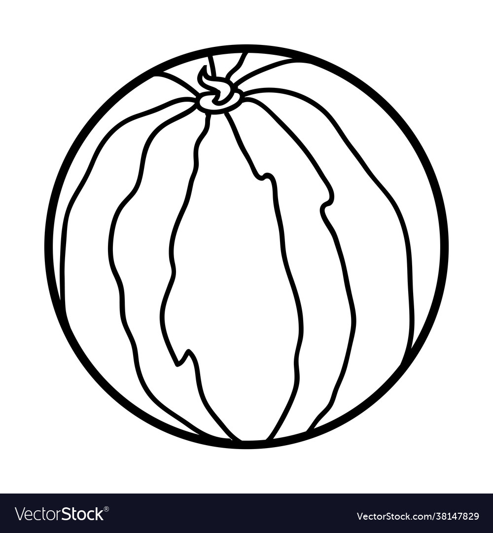 Coloring book watermelon royalty free vector image