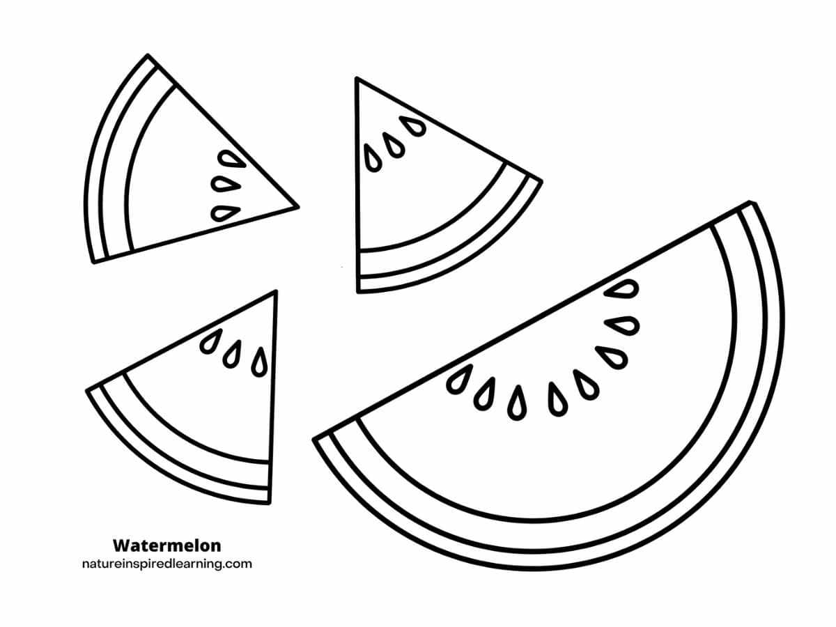 Watermelon coloring pages