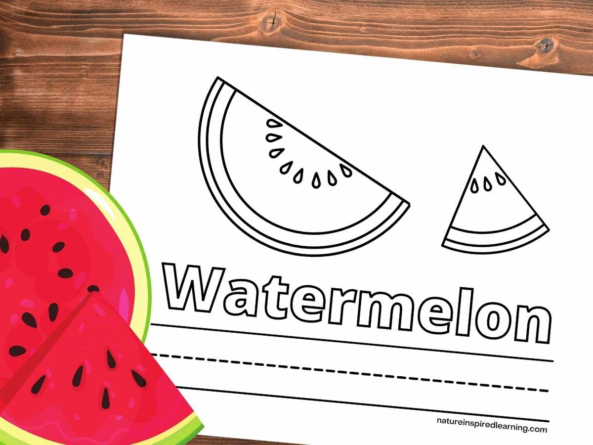 Watermelon coloring pages