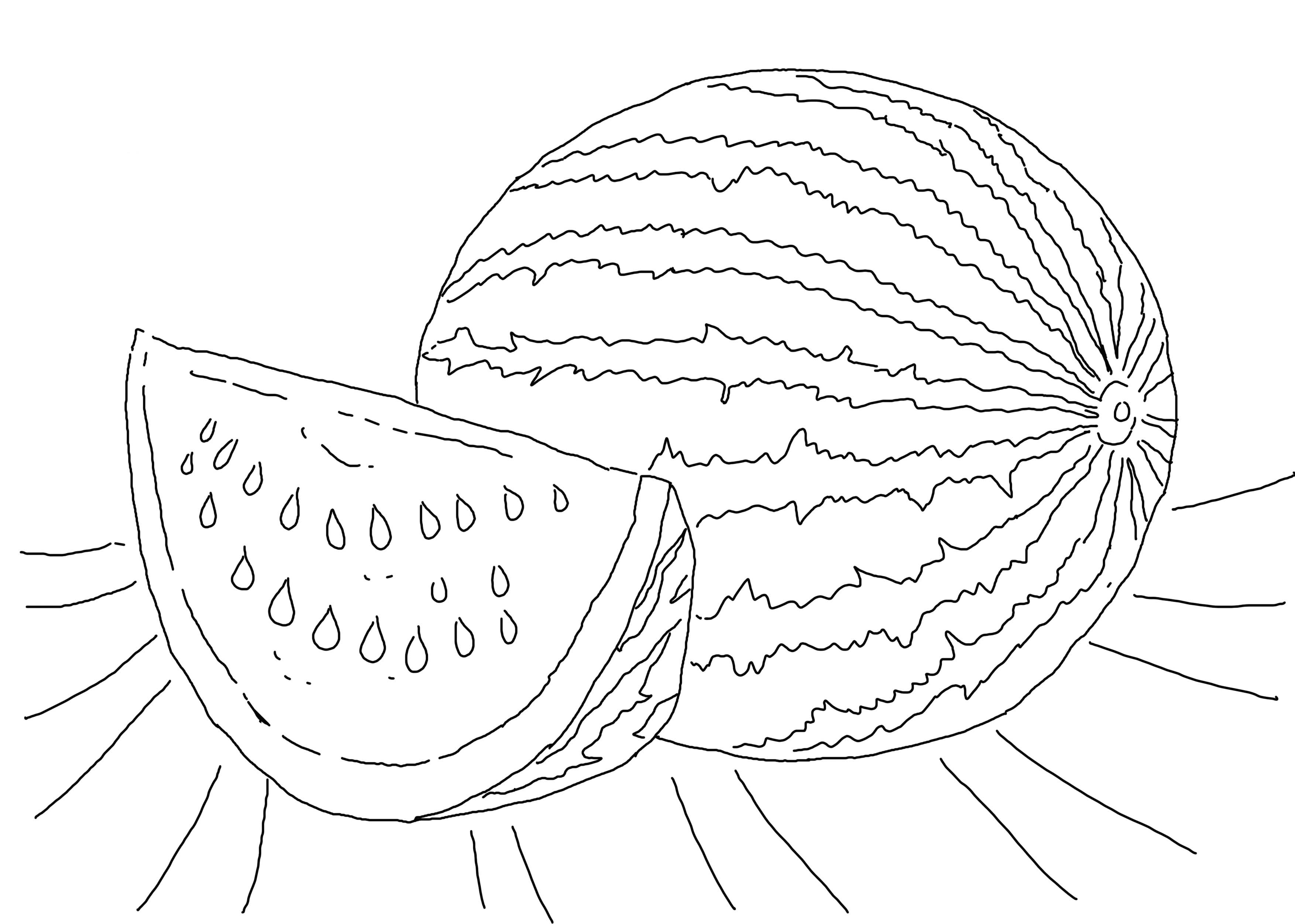 Watermelon coloring pages