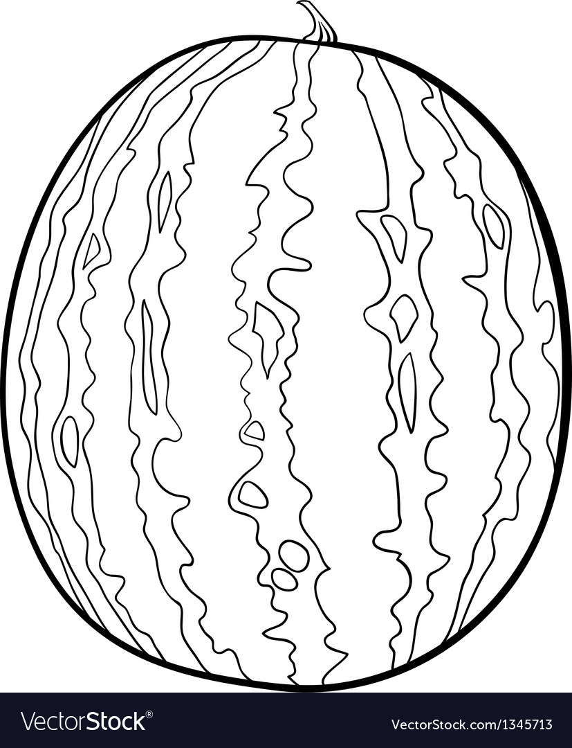 Watermelon for coloring book royalty free vector image