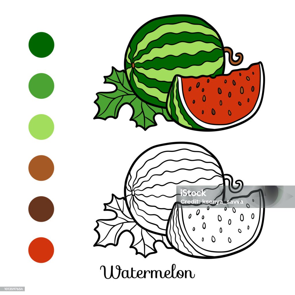 Coloring book watermelon stock illustration