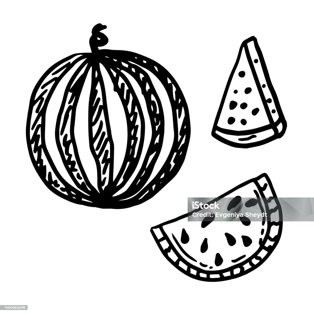 Slice and whole of watermelon outline coloring page vector illustration isolated on white stock illustration