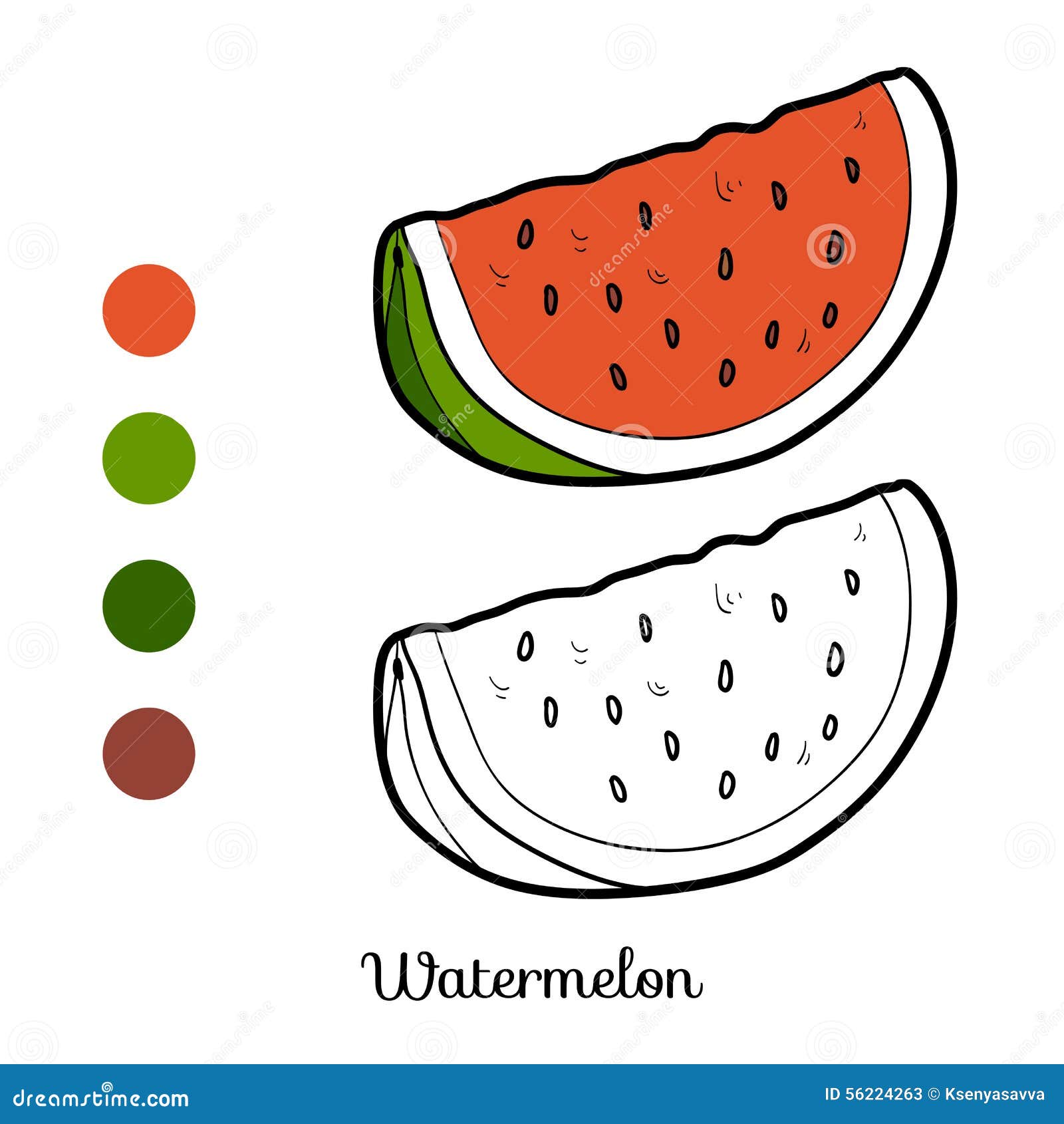 Watermelon coloring stock illustrations â watermelon coloring stock illustrations vectors clipart