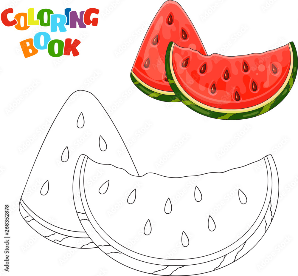 Coloring book page for preschool children with outlines of watermelon slices and a colorful copy of them vector illustration of watermelon for kids education vector