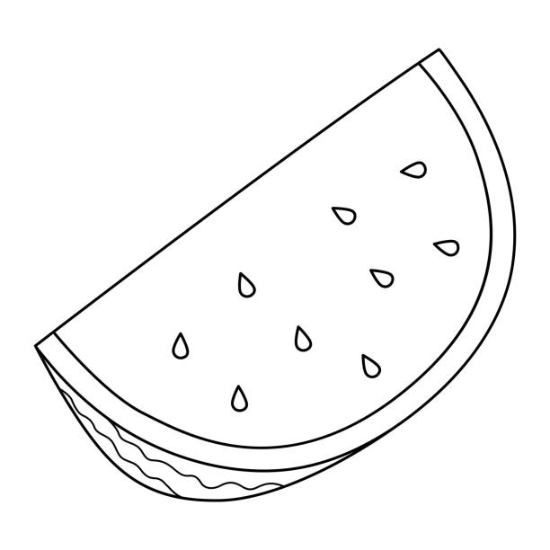 Watermelon coloring pages stock illustrations royalty