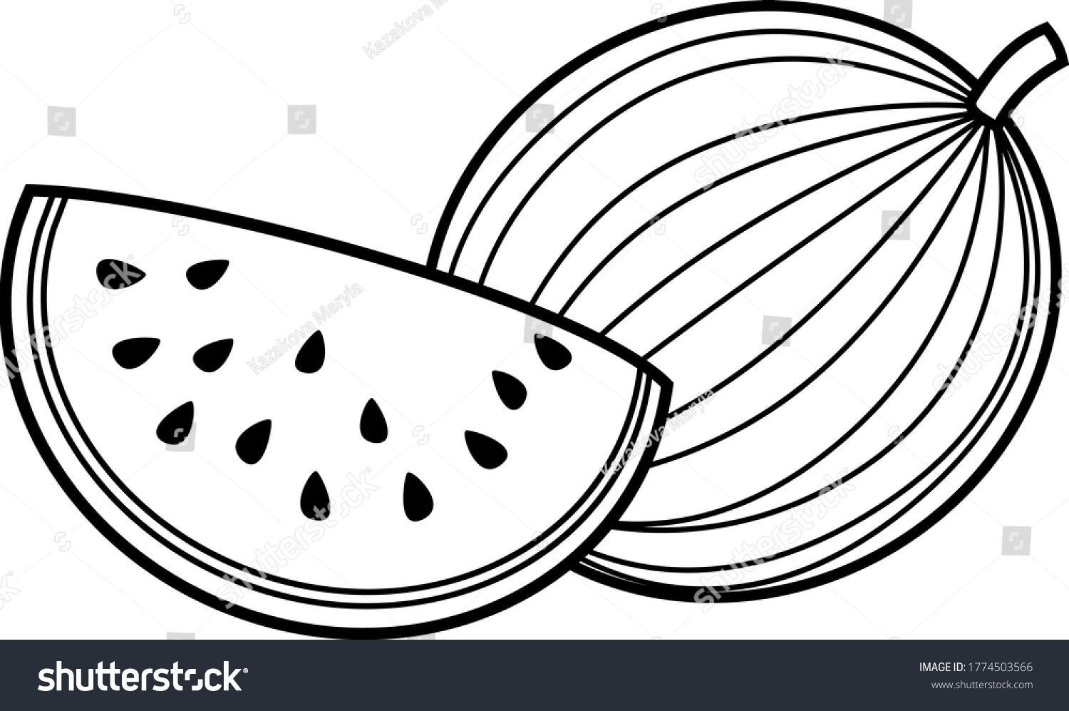 Watermelon contour images stock photos d objects vectors