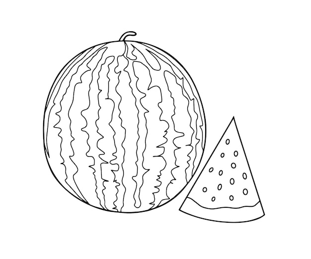 Premium vector outline vector drawing of a watermelon and slices of watermelon next coloring with watermelon