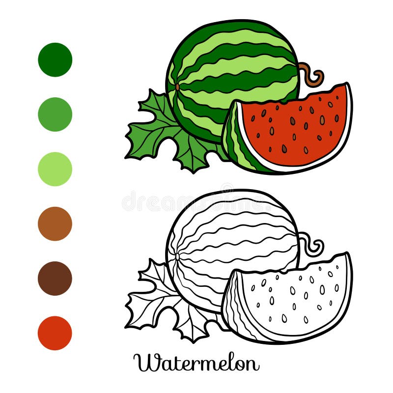 Watermelon coloring stock illustrations â watermelon coloring stock illustrations vectors clipart