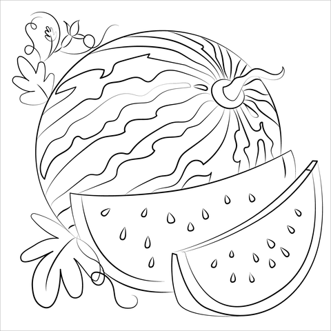 Watermelon coloring page free printable coloring pages