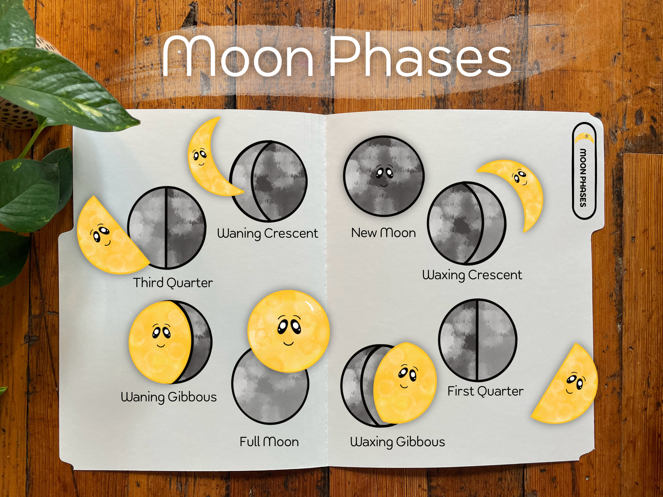 Buy moon phases printable folder activity online in india