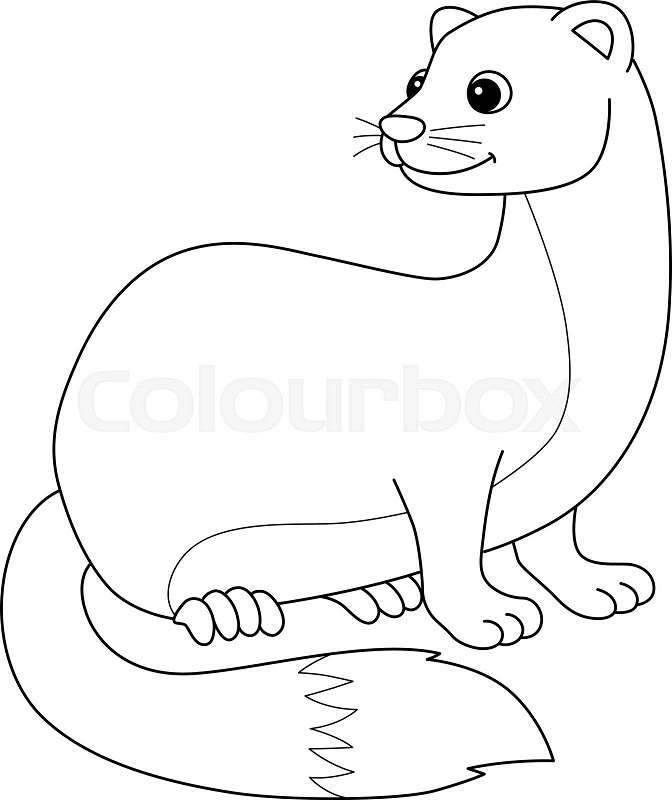 Weasel animal isolated coloring page for kids stock vector