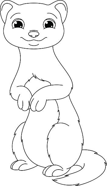 Weasel coloring page stock illustration