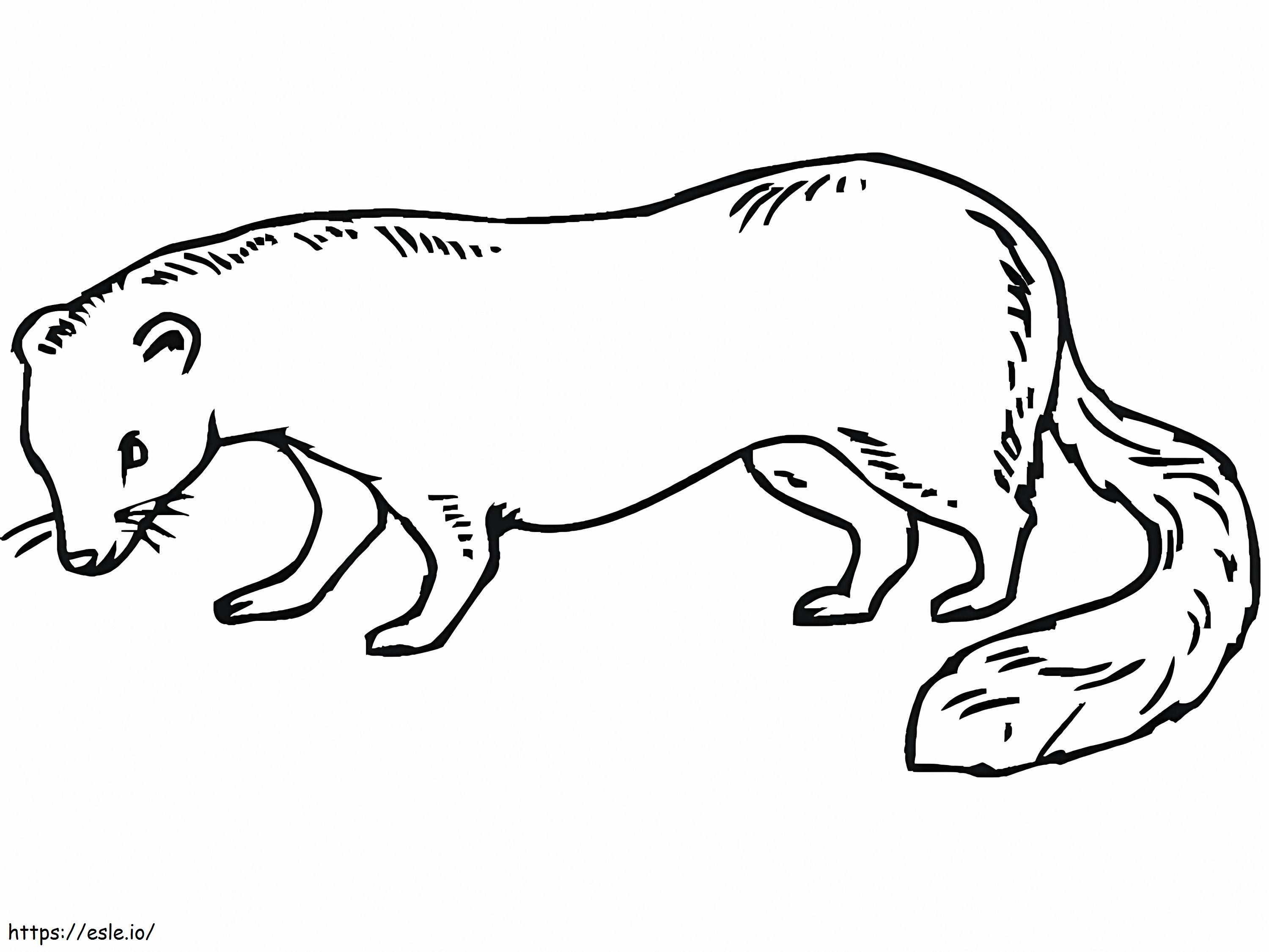 Free printable weasel coloring page