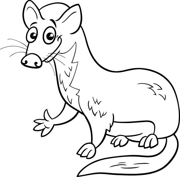 Funny cartoon weasel animal character coloring page stock illustration