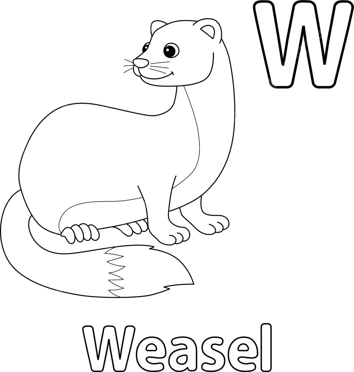 Weasel animal alphabet abc isolated coloring w colouring page education river vector colouring page education river png and vector with transparent background for free download