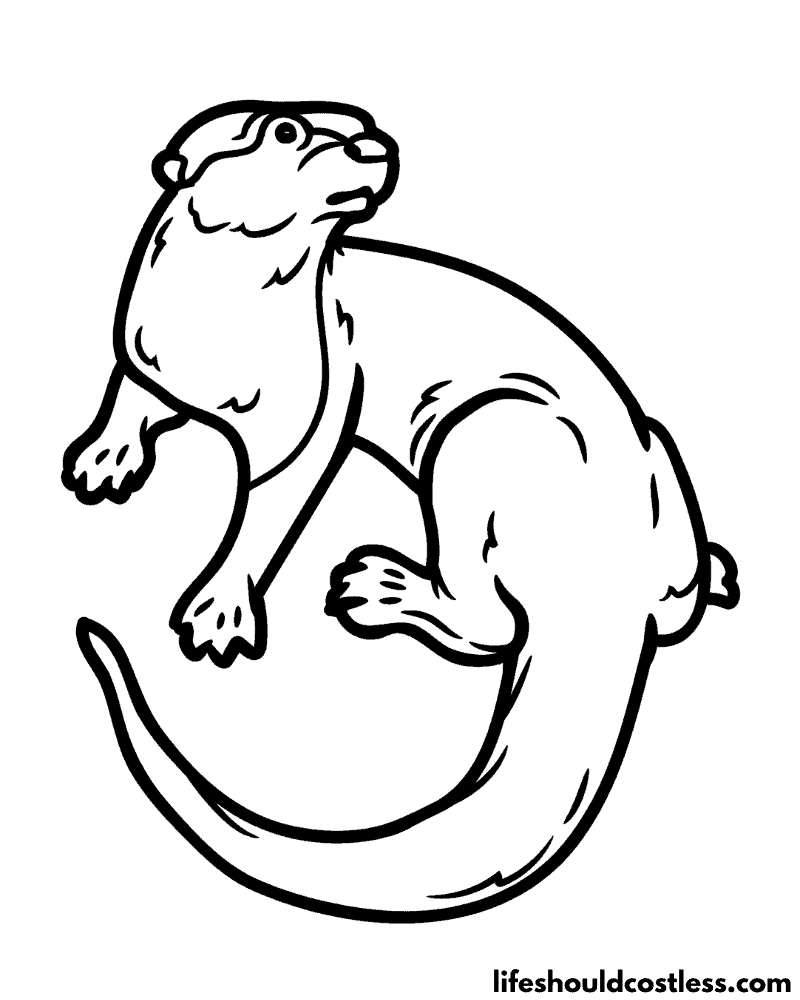 Otter coloring pages free printable pdf templates