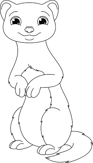 Weasel coloring page stock illustration