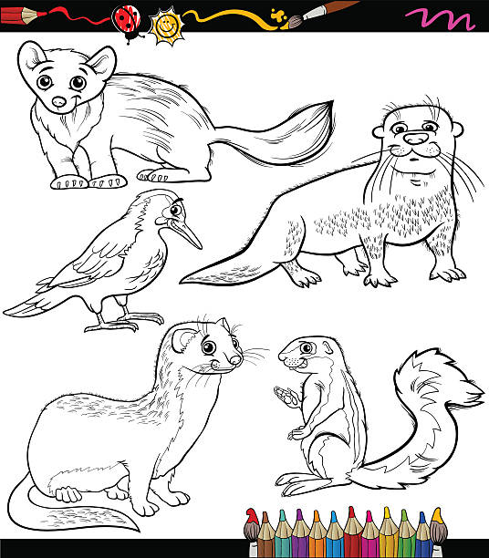 Animals set cartoon coloring book stock illustration