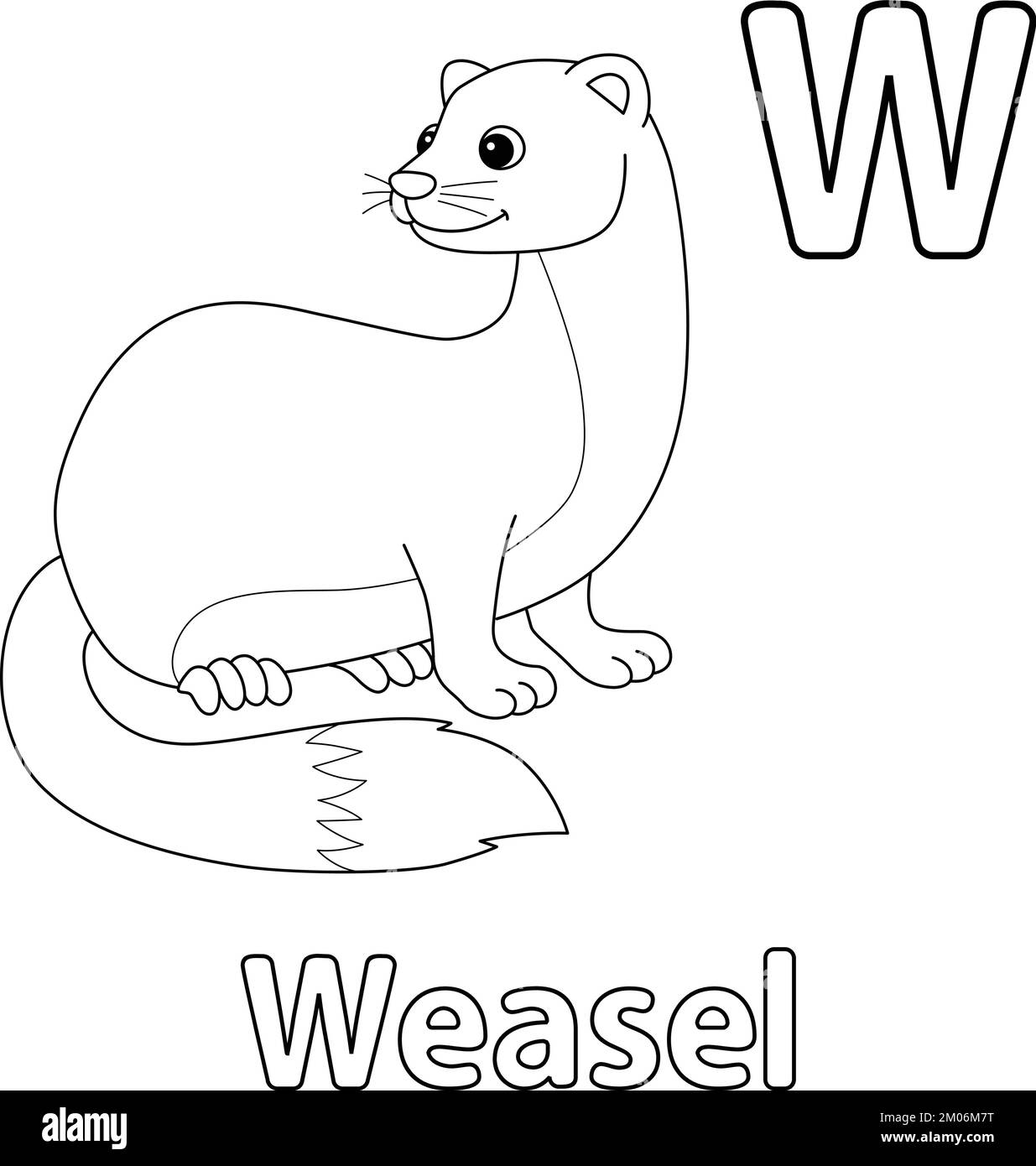 Weasel drawing black and white stock photos images