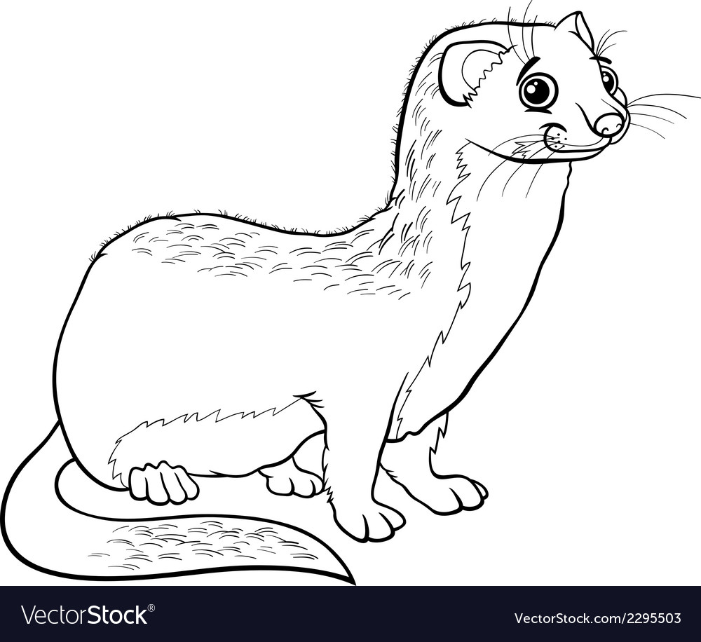 Weasel animal cartoon coloring book royalty free vector