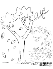 Autumn coloring pages fall