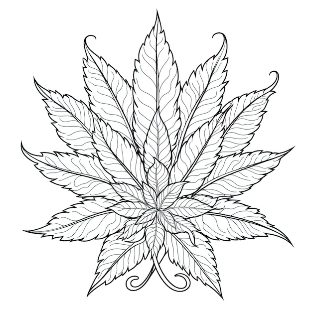 Premium vector marijuana leaf weed smoke for adult coloring book