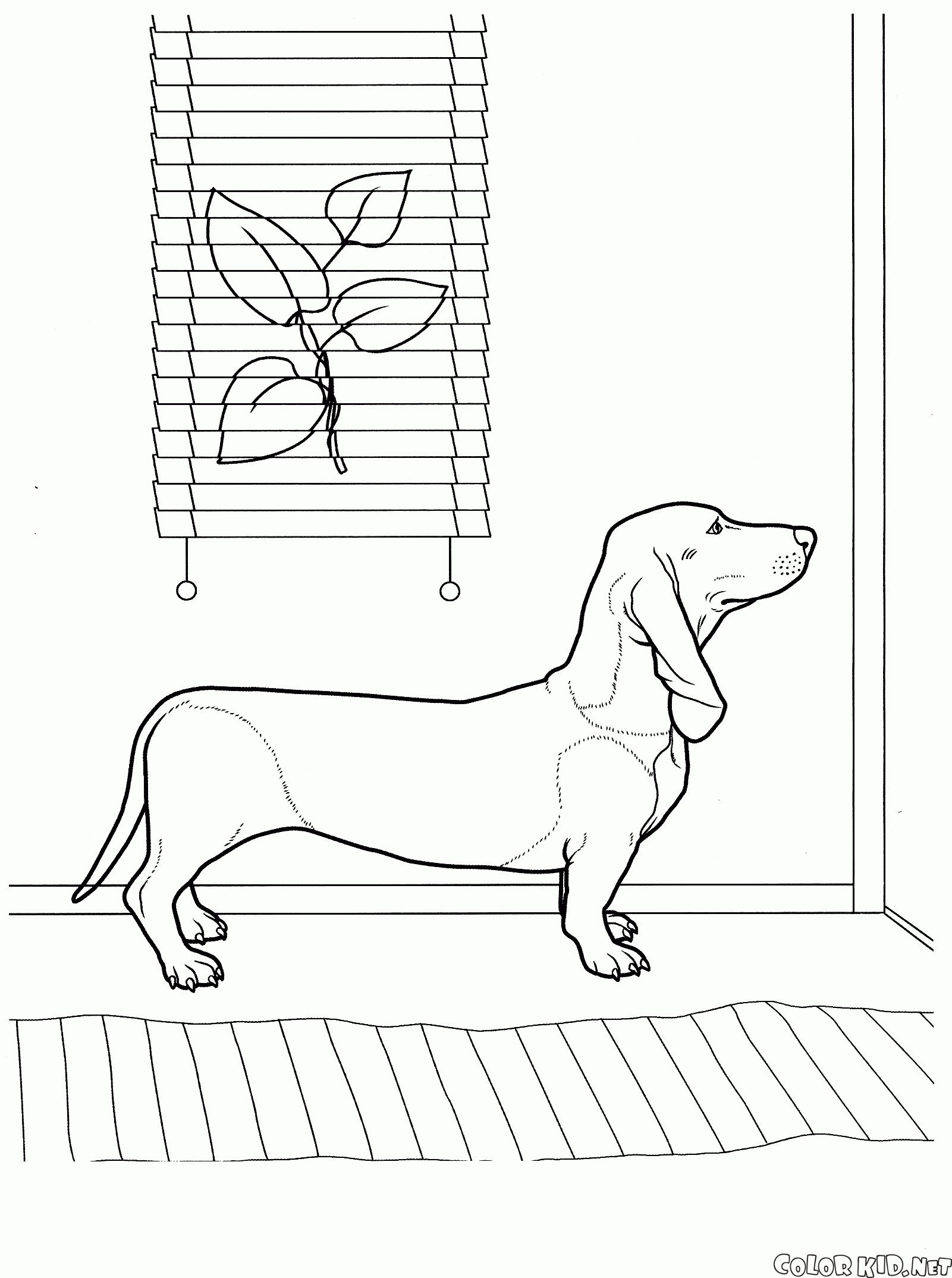 Coloring page