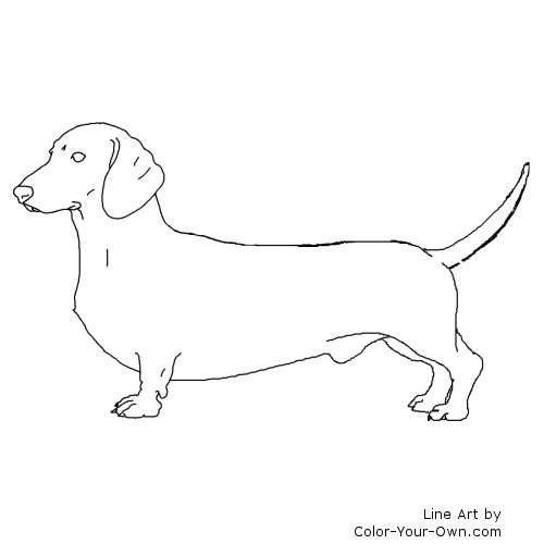 Dachshund dog coloring page