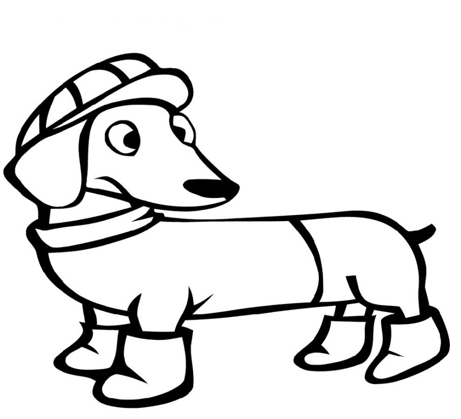 Dachshund coloring pages