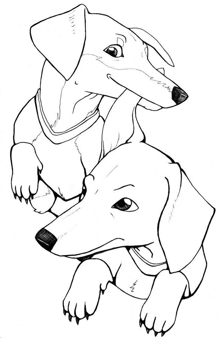 Dachshund coloring pages