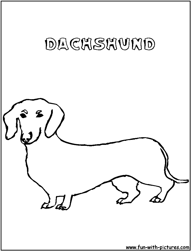 Dachshund coloring page