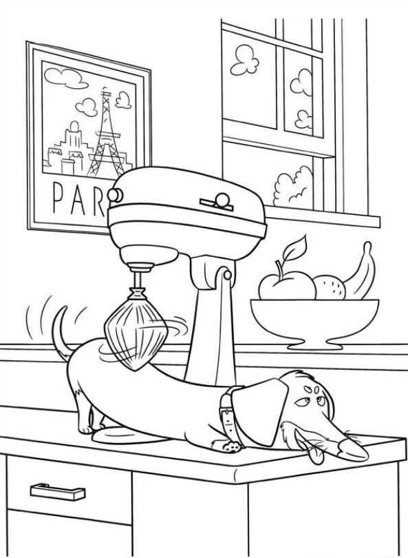 Dachshund coloring pages