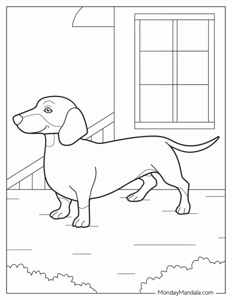 Dog coloring pages free pdf printables