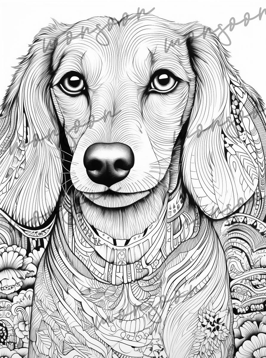 Dachshund grayscale coloring book printbook â monsoon publishing usa