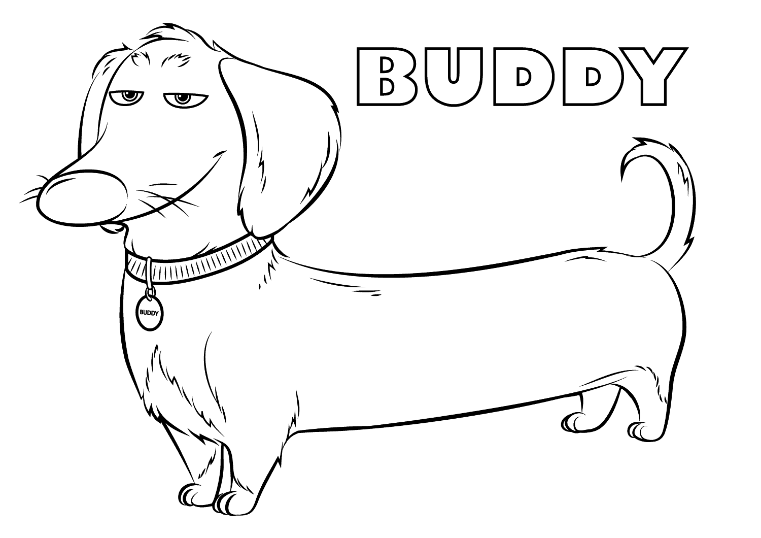 Dachshund coloring pages