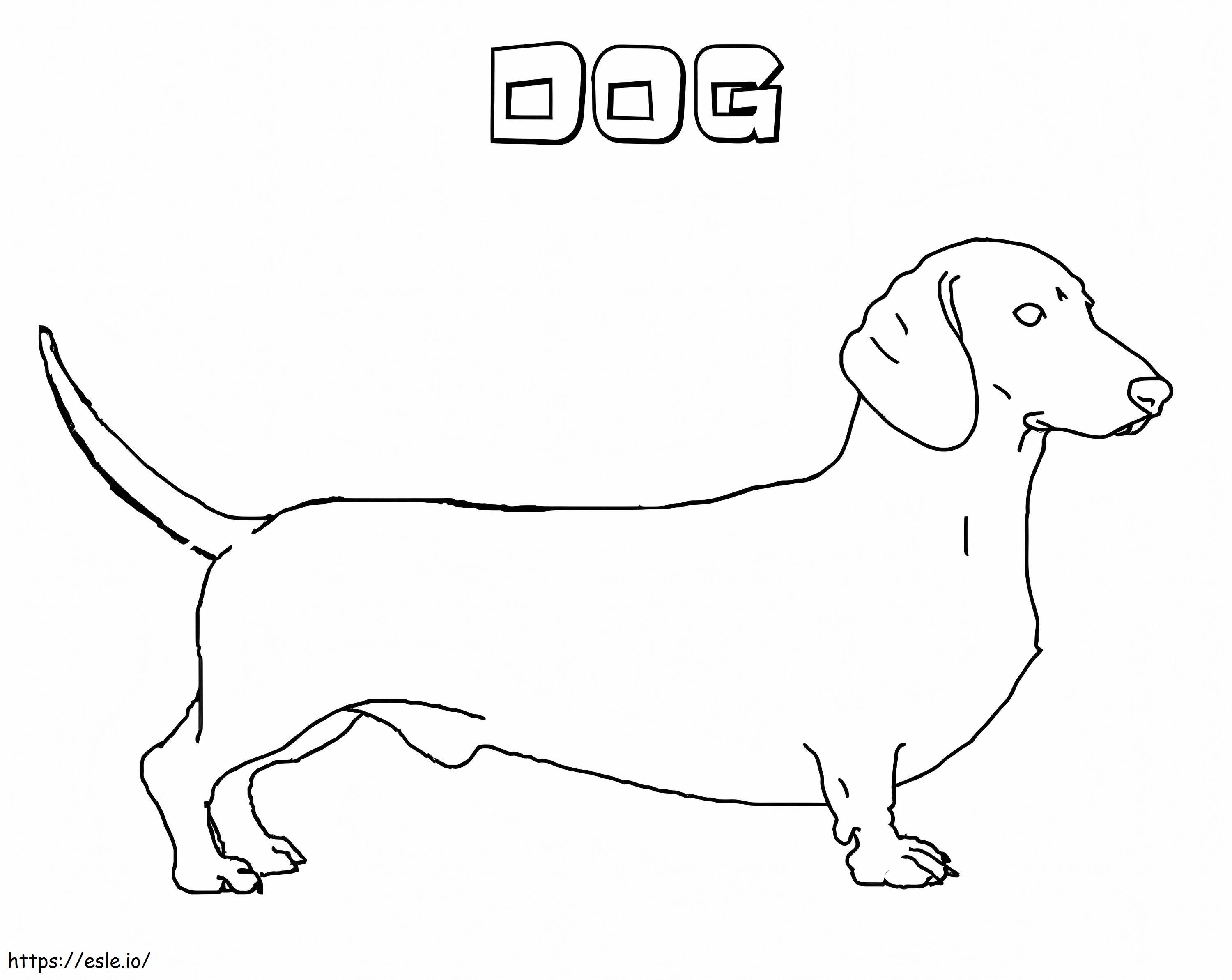 Dachshund dog coloring page