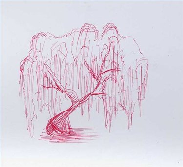 How to draw a wheeping willow tree