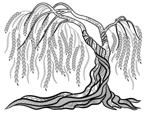 Weeping willow tree coloring page stock illustration by smk