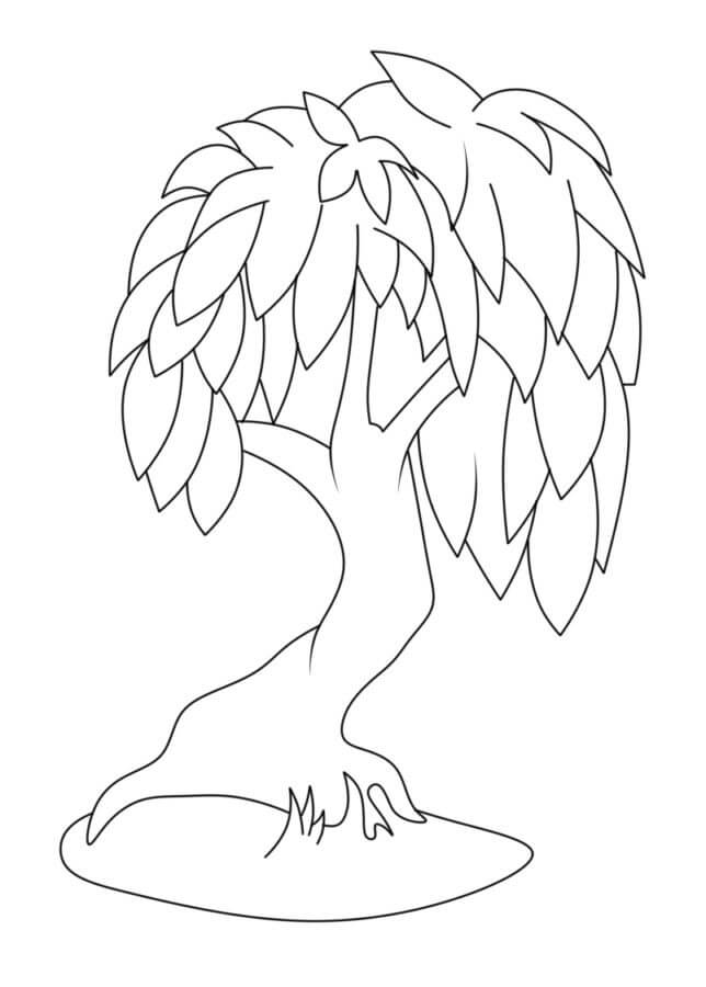 The normal tree coloring page