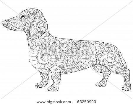 Dachshund coloring vector photo free trial bigstock