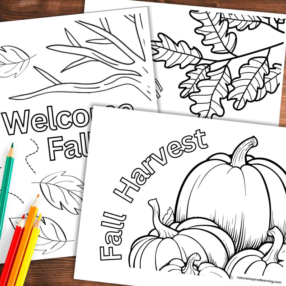 Fall coloring pages